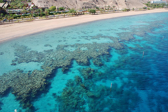 Aerial Photograph featuring a living coral reef about 50 feet offshore of a beach in the Sinai Desert.