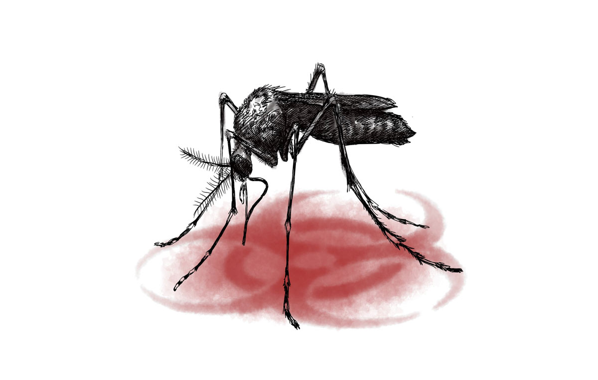 "Bio-Hazard": Mosquito (iPad, Procreate)